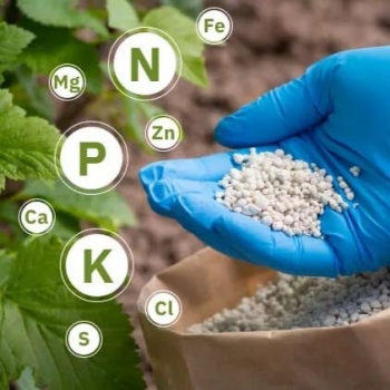 Fertilizantes especiais 