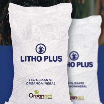 LITHO PLUS