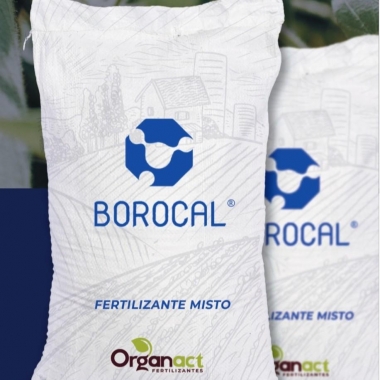 BOROCAL