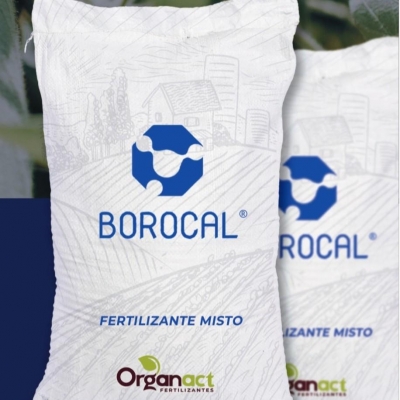 BOROCAL